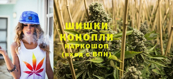 прущие крисы Балахна
